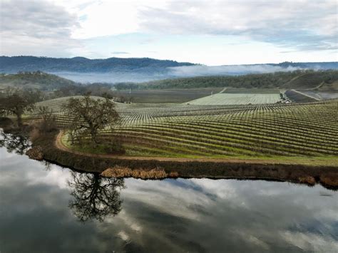 chanel napa valley winery